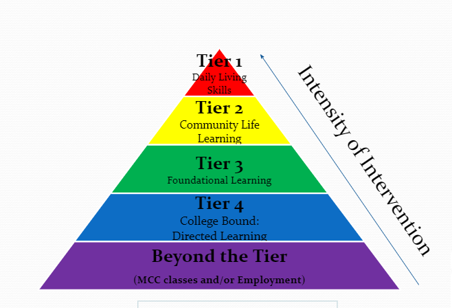 LIGHT Program Levels of Support (Tiers)